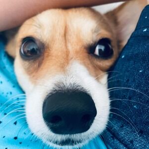 Meet your Posher, Shinyoung